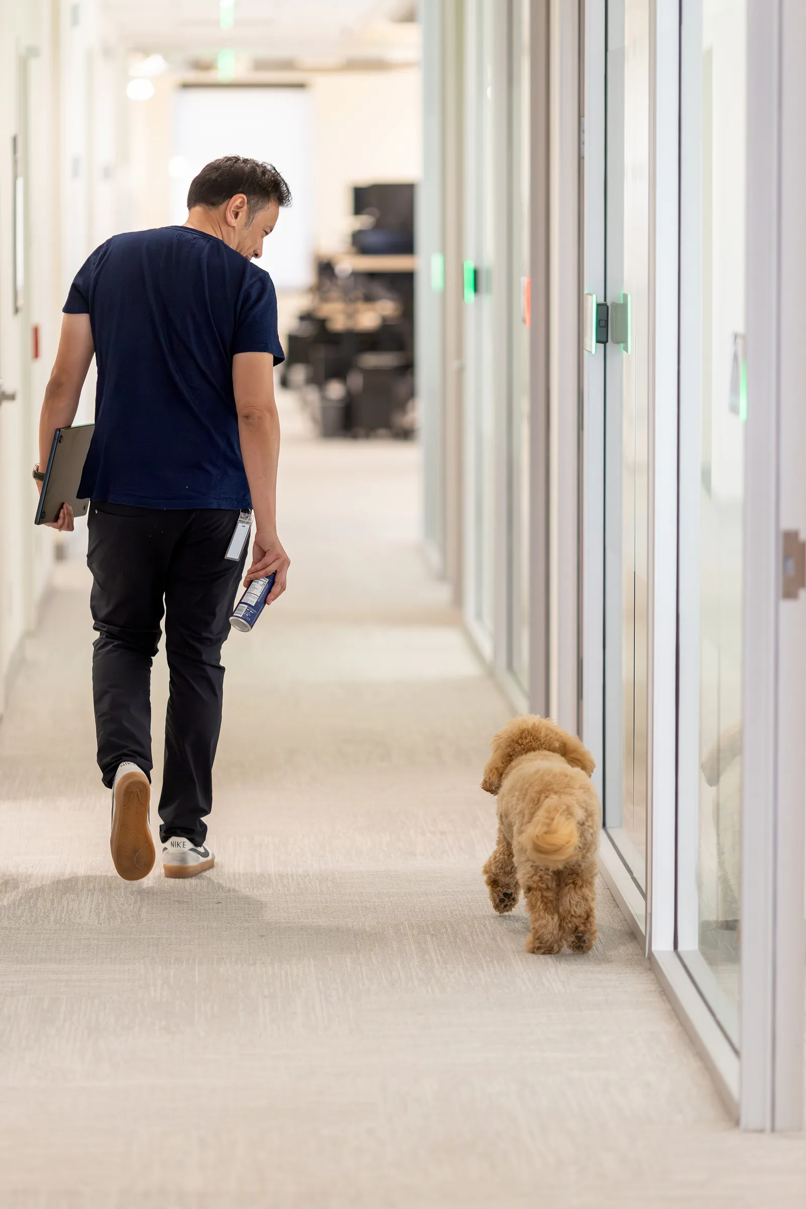 Walking a dog down the office hallway
